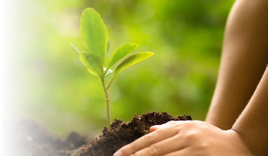 Environmental Characteristics