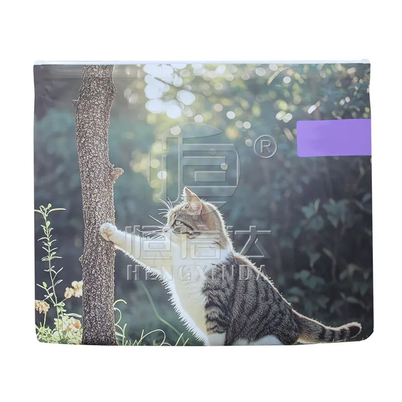 Soft Plastic Bag